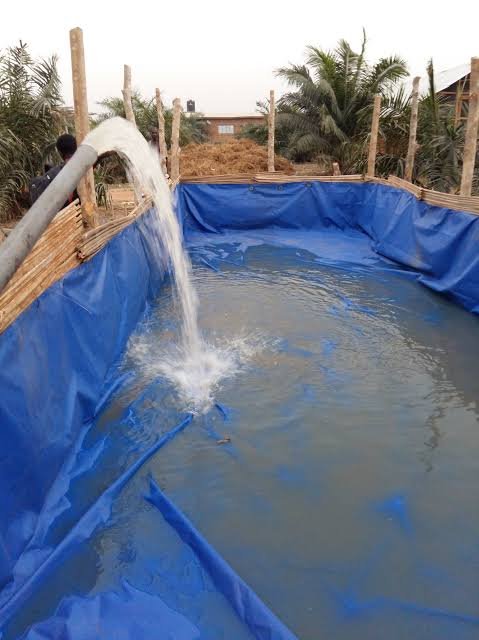 Pisciculture hors-sol — Processus